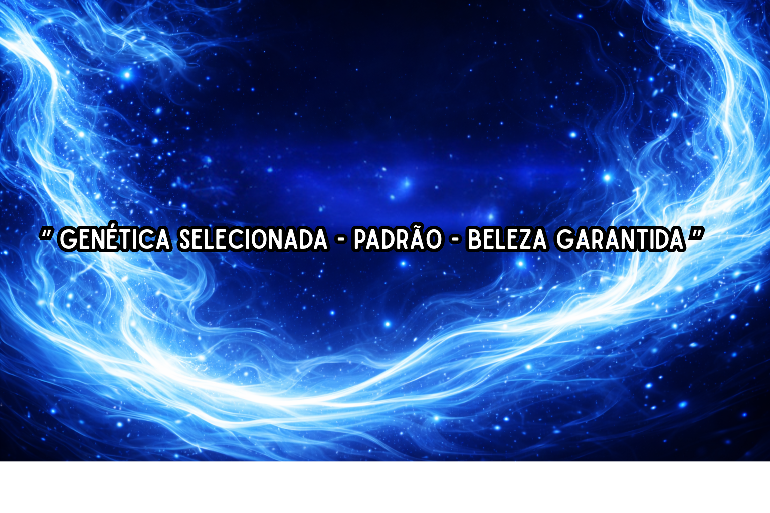 Banner do Criatório
