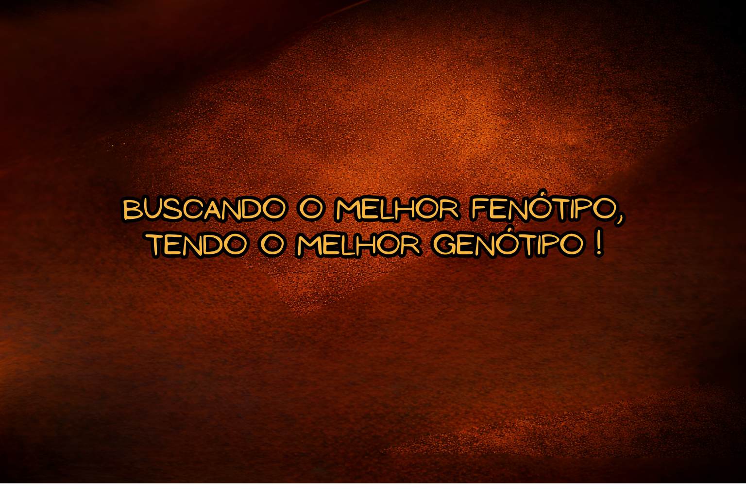 Banner do Criatório