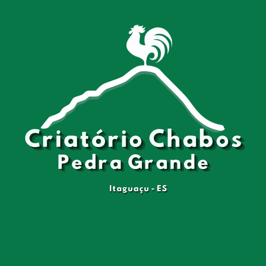 Logo Criatório Chabos Pedra Grande